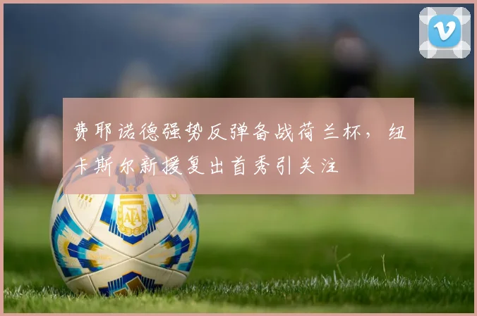 费耶诺德强势反弹备战荷兰杯,纽卡斯尔新